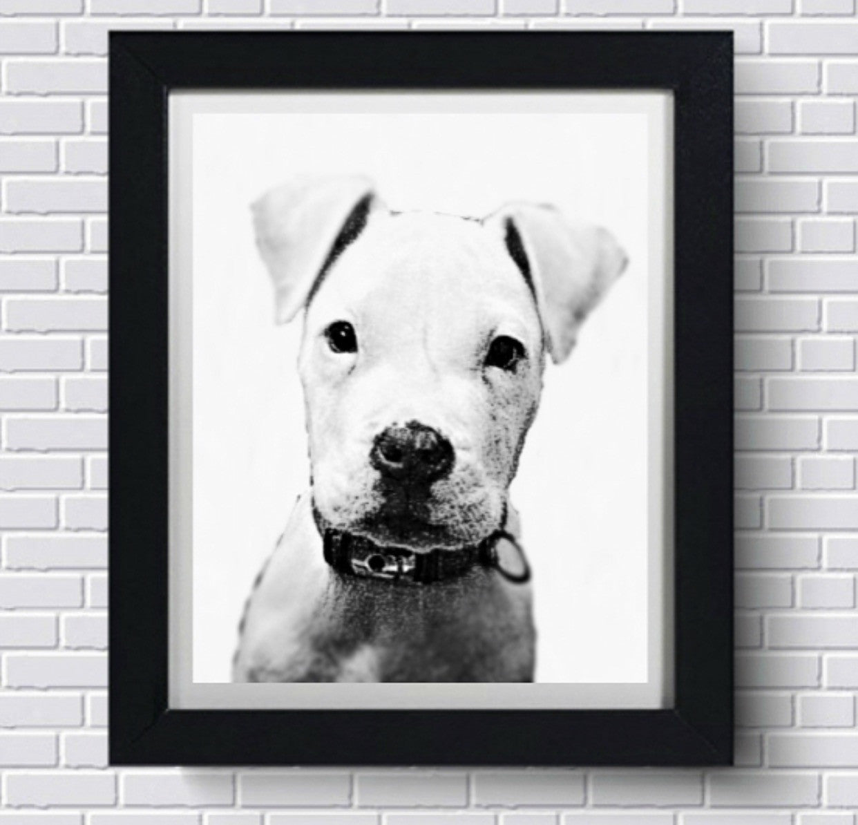 Pet Art - Classic Black & White Style